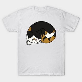 Catching Z's T-Shirt